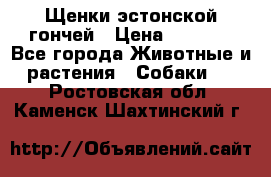 Щенки эстонской гончей › Цена ­ 7 000 - Все города Животные и растения » Собаки   . Ростовская обл.,Каменск-Шахтинский г.